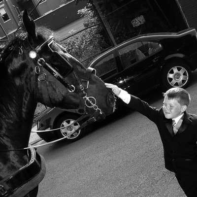 Boy and Horse 2009